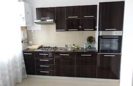 Apartament 2 camere, 46 mp, prima inchiriere, parcare, imobil nou, zona Vivo