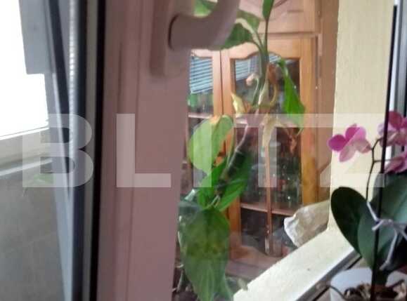 Garsonieră de vânzare Iris - 27164AV | BLITZ Cluj-Napoca | Poza12