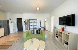 Apartament 2 camere, 45 mp, imobil nou, mobilat modern, parcare subterna, zona Taietura Turcului