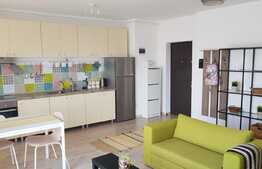 Apartament 2 camere, 45 mp, imobil nou, mobilat modern, parcare subterna, zona Taietura Turcului