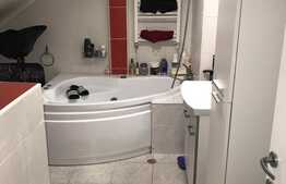 Apartament 3 camere, la cheie, zona de case, 87 mp, parcare, curte, zona Someseni