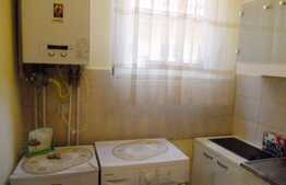 De inchiriat garsoniera, 24 mp, imobil casa/vila, zona strazii Paris