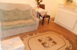 De inchiriat garsoniera, 24 mp, imobil casa/vila, zona strazii Paris