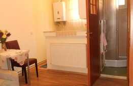 De inchiriat garsoniera, 24 mp, imobil casa/vila, zona strazii Paris