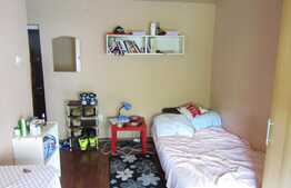 De vanzare garsoniera 20 mp, zona Stadionul CFR