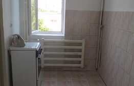 2 camere, 46 mp, etaj intermediar, zona strazii Constantin Brancusi