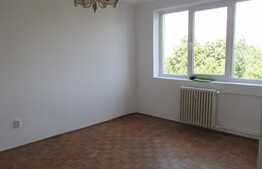 2 camere, 46 mp, etaj intermediar, zona strazii Constantin Brancusi