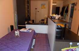 Vanzare apartament 2 camere, 40.2 mp, mobilat si utilat! Zona strazii Stejarului