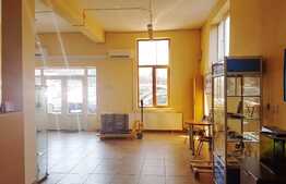 Spatiu comercial 274 mp, showroom si depozitare!