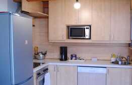 De inchiriat 3 camere+ 3 mezanine, 60 mp, zona Piata Mihai Viteazu