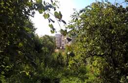 Casa de vanzare, 70 mp, 1569 mp teren, zona Spitalului de Recuperare