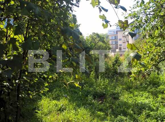 Casa de vânzare 3 camere Zorilor - 27269CV | BLITZ Cluj-Napoca | Poza4