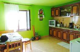 Casa individuala de vanzare, 160 mp utili, 500 mp de teren, zona linistita!