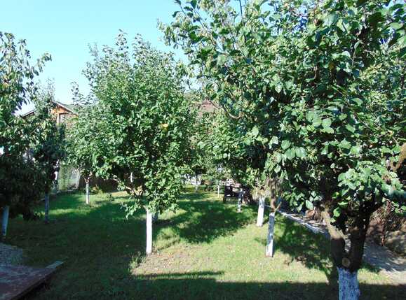 Casa de vânzare 4 camere Dambul Rotund - 27273CV | BLITZ Cluj-Napoca | Poza14