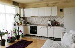 2 camere, 48 mp, mobilat modern, etaj intermediar, zona Calea Baciului