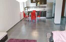 Apartament spatios amenajat in stil minimalist