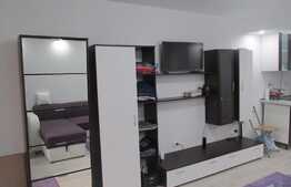 Garsoniera 24 mp, mobilata modern, prima inchiriere, parcare, zona Complex Nora