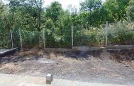 Duplex 116 mp, teren de 250 mp, front de 12 ml, zona linistita