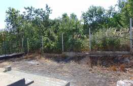 Duplex 116 mp, teren de 250 mp, front de 12 ml, zona linistita