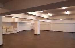 Spatiu multifunctional, 300 mp, 5 parcari incluse! Pret avantajos! Zona Oncos!