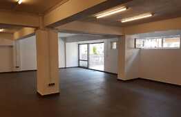 Spatiu multifunctional, 300 mp, 5 parcari incluse! Pret avantajos! Zona Oncos!