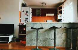 2 camere, 43 mp, 2 balcoane! Mobilat, utilat! Zona strazii Stejarului! Parcare!