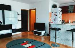 2 camere, 43 mp, 2 balcoane! Mobilat, utilat! Zona strazii Stejarului! Parcare!