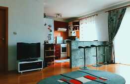 2 camere, 43 mp, 2 balcoane! Mobilat, utilat! Zona strazii Stejarului! Parcare!