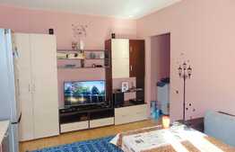 Apartament 2 camere, 46 mp, zona strazii Baisoara