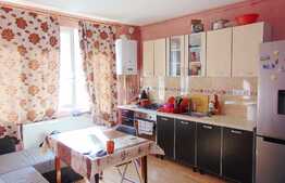 Apartament 2 camere, 46 mp, zona strazii Baisoara