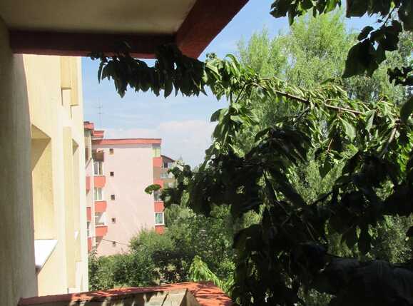 Apartament de închiriat 3 camere Zorilor - 27316AI | BLITZ Cluj-Napoca | Poza12