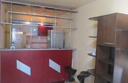 Apartament 2 camere, 48 mp, prima inchiriere, zona Calea Dorobantilor