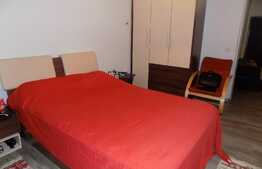 Apartament decomandat, 2 camere, 47 mp, balcon inchis! Parcare cu CF!Zona Terra!