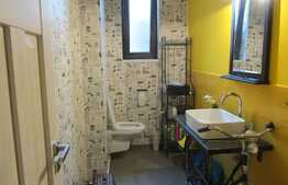 Casa cu individualitate proprie si teren generos!