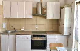 Pret redus cu 100€! Apartament cu 2 camere, 55 mp, decomandat, imobil nou, garaj, A. C., zona USAMV