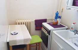 Garsoniera de vanzare, 28mp, decomandata, zona Iulius Mall