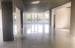 Spatiu comercial de tip open space, 240 mp, terasa 90 mp