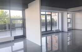 Spatiu comercial de tip open space, 240 mp, terasa 90 mp