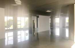 Spatiu comercial de tip open space, 240 mp, terasa 90 mp