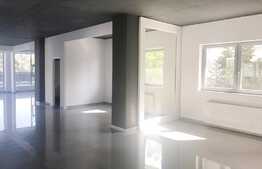 Spatiu comercial de tip open space, 240 mp, terasa 90 mp