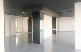 Spatiu comercial de tip open space, 240 mp, terasa 90 mp