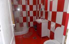 2 camere, 49 mp, mobilat si utilat, balcon de 7 mp! Imobil nou! Zona Terra!