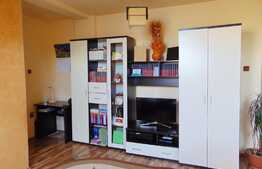 Apartament de vanzare 2 camere, 49 mp, zona strazii Plevnei