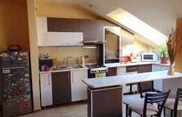 Apartament de vanzare 2 camere, 49 mp, zona strazii Plevnei