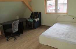 Apartament 1 camera, 28 mp utili, imobil de tip casa/ vila, zona USAMV!