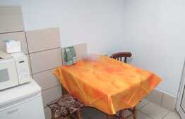 Apartament 1 camera, 28 mp utili, imobil de tip casa/ vila, zona USAMV!