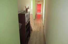 Apartament 1 camera, 28 mp utili, imobil de tip casa/ vila, zona USAMV!