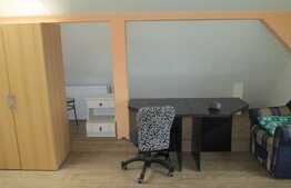 Apartament 1 camera, 28 mp utili, imobil de tip casa/ vila, zona USAMV!