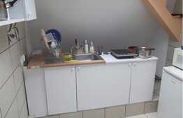 Apartament 1 camera, 28 mp utili, imobil de tip casa/ vila, zona USAMV!