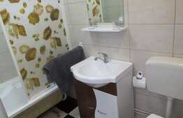 Apartament 1 camera, 28 mp utili, imobil de tip casa/ vila, zona USAMV!